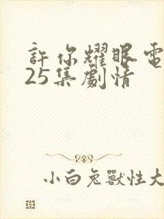 许你耀眼电视剧25集剧情封面