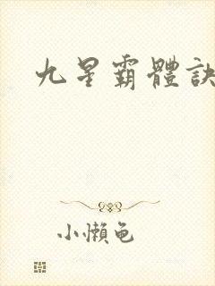 九星霸体诀'封面