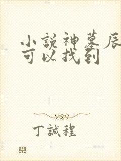 小说神墓辰东哪可以找到封面