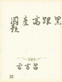 国产高跟黑丝调教封面