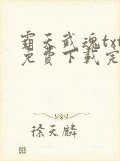 霸天武魂txt免费下载完本