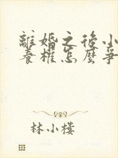 离婚之后小孩抚养权怎么争取