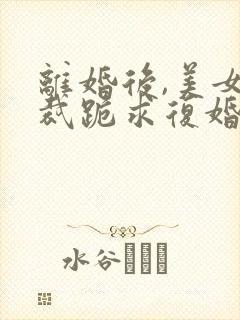 离婚后,美女总裁跪求复婚封面