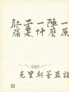 肚子一阵一阵疼痛是什么原因封面