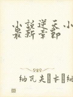 小说逆天小医仙最新章节