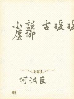 小说 古暖暖江尘御封面