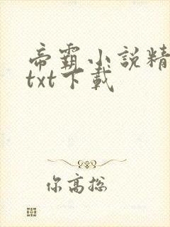 帝霸小说精校版txt下载封面