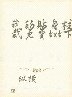 我的贴身校花总裁免费txt下载