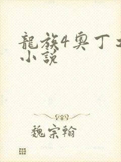 龙族4奥丁之渊小说