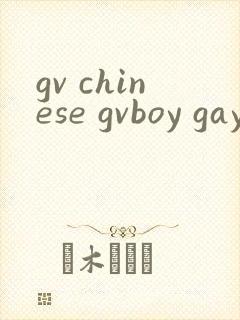 gv chinese gvboy gay tube