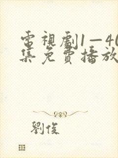 电视剧1—40集免费播放