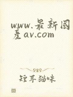 www.最新国产av.com