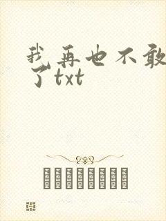 我再也不敢爱你了txt
