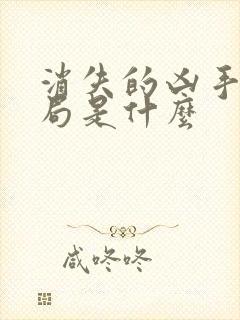 消失的凶手大结局是什么