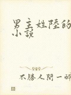男主姓陆的所有小说