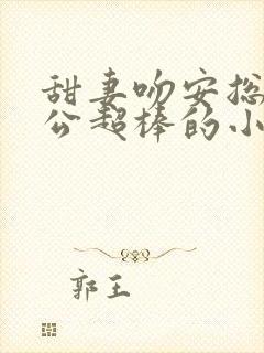 甜妻吻安总裁老公超棒的小说