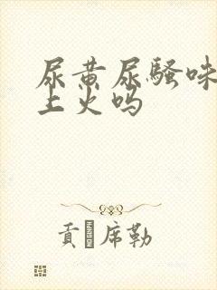 尿黄尿骚味重是上火吗