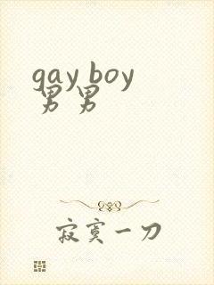 gay boy男男封面