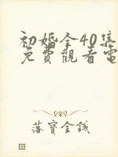 初婚全40集全免费观看电视剧