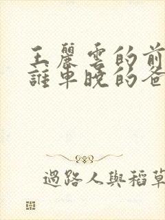 王丽云的前夫是谁车晓的爸爸是谁