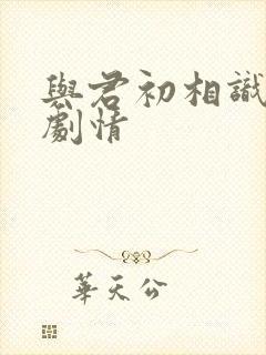 与君初相识分集剧情