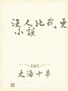 没人比我更爱你 小说