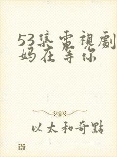 53集电视剧妈妈在等你