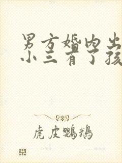 男方婚内出轨和小三有了孩子犯法吗封面