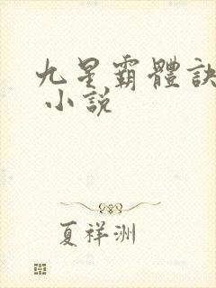 九星霸体诀龙尘 小说