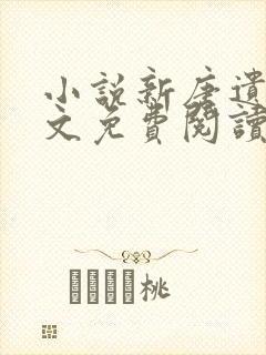 小说新唐遗玉全文免费阅读封面