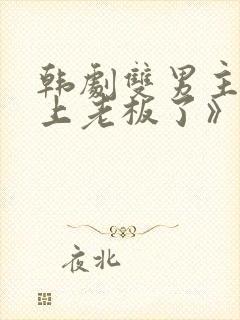 韩剧双男主《爱上老板了》在线观看