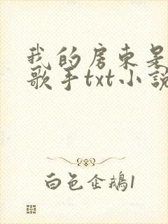 我的房东是偶像歌手txt小说