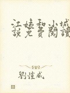 江姨和小城的小说免费阅读