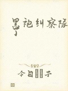 黑袍纠察队几季了封面