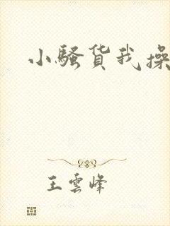 小骚货我操死你封面