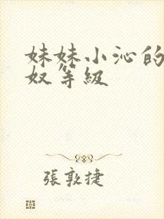 妹妹小沁的受孕奴等级