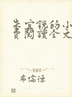 朱宜锐的小说免费阅读全文