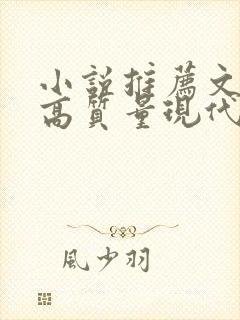 小说推荐文笔好高质量现代言情