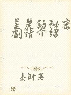 美丽的秘密分集剧情介绍封面