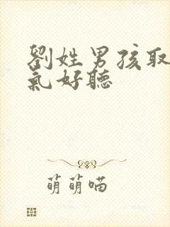 刘姓男孩取名洋气好听封面