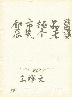 都市极品医神叶辰几个老婆