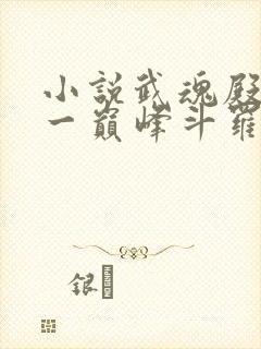 小说武魂殿之第一巅峰斗罗