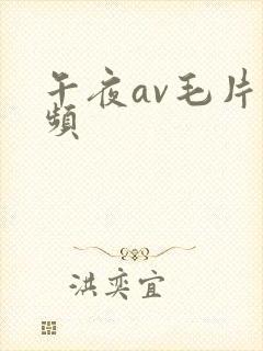 午夜av毛片视频