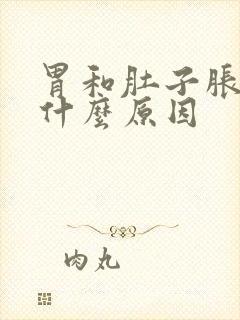 胃和肚子胀疼是什么原因封面