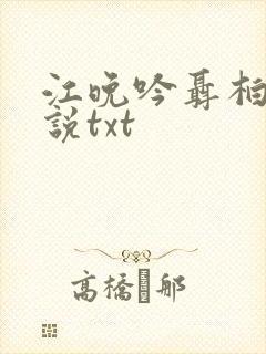 江晚吟聂柏陵小说txt