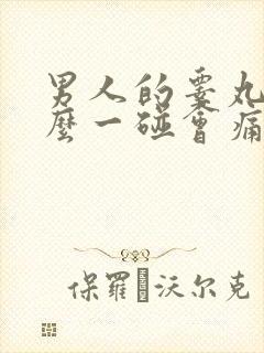 男人的睾丸为什么一碰会痛封面