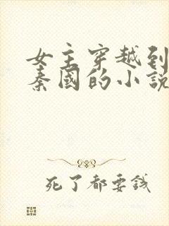 女主穿越到战国秦国的小说封面