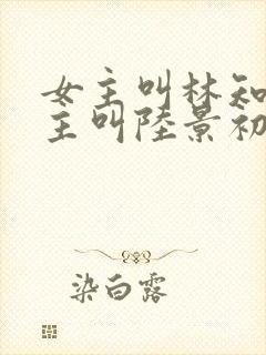 女主叫林知意男主叫陆景初