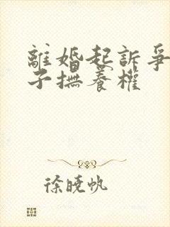 离婚起诉争夺孩子抚养权