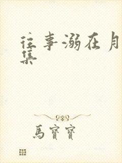 往事溺在月光全集封面